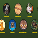 (Image: Warriorcats.com)